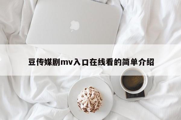 豆传媒剧mv入口在线看的简单介绍
