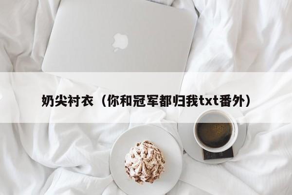 奶尖衬衣(你和冠军都归我txt番外)
