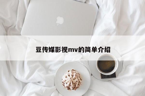 豆传媒影视mv的简单介绍