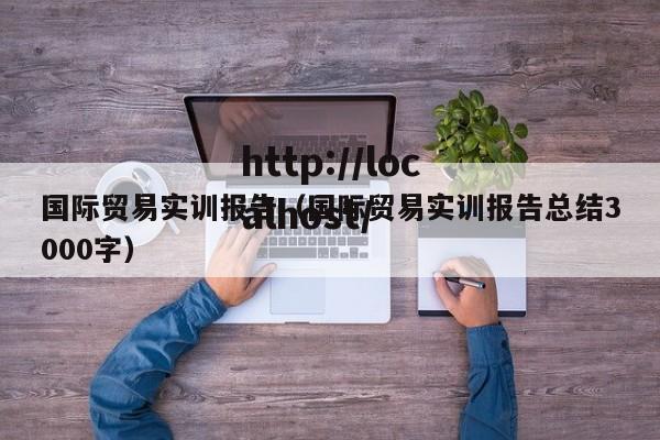 国际贸易实训报告（国际贸易实训报告总结3000字）